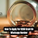 How To Apply For R350 Grant On Whatsapp Number