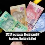 SASSA Increases The Amount Of Feathers That Are Ruffled