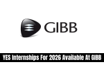 YES Internships For 2026 Available At GIBB