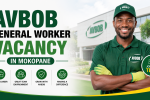 AVBOB General Worker Vacancy