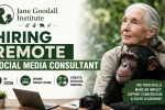 Jane Goodall Institute Hiring Remote Social Media Consultant in 2026