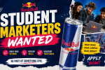Red Bull Student Marketers Wanted
